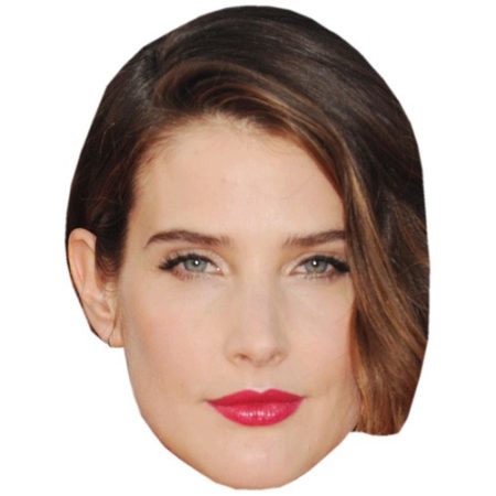 A Cardboard Celebrity Mask of Cobie Smulders
