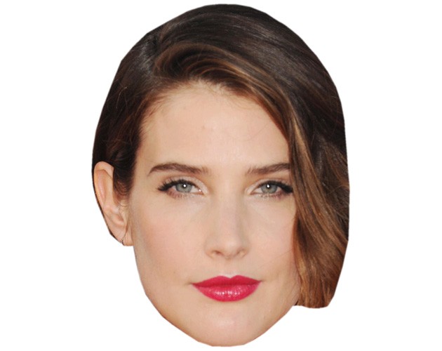 A Cardboard Celebrity Mask of Cobie Smulders