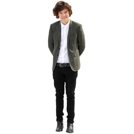 Louis Tomlinson And Harry E. Styles (Duo 2) Mini Celebrity Knipsel