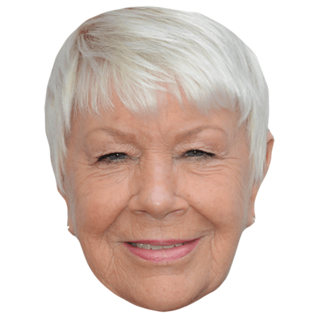 Featured image for “Laila Morse Celebrity Mask”