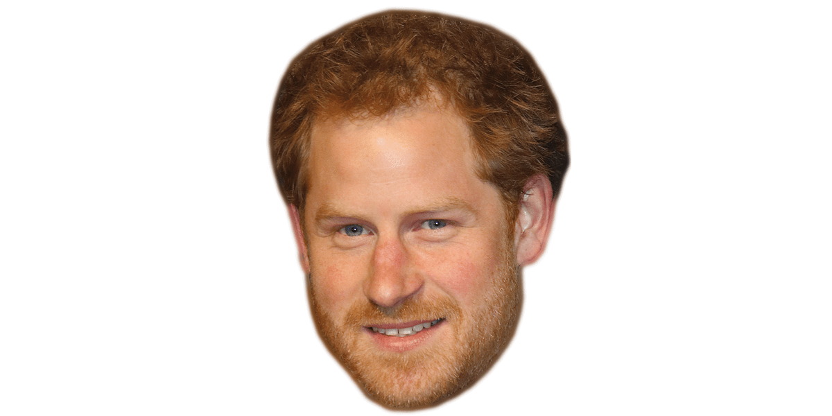 Featured image for “Prince Harry (Beard) Celebrity Big Head”