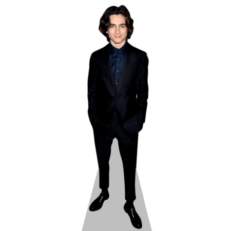 Featured image for “Timothee Chalamet Cardboard Cutout”