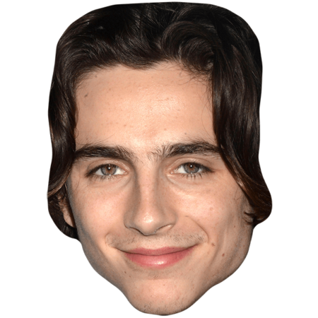 Featured image for “Timothee Chalamet Celebrity Big Head”