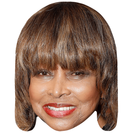 Featured image for “Tina Turner Celebrity Mask”