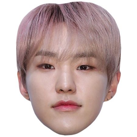 Featured image for “Hoshi (SEVENTEEN) Celebrity Big Head”