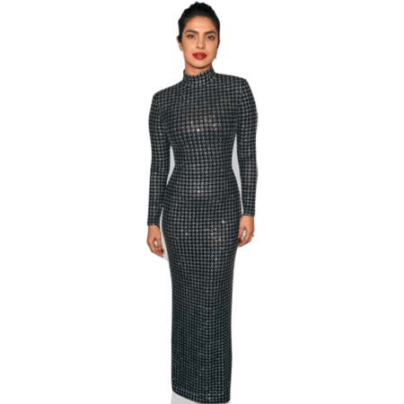 Priyanka Chopra (Silver Dress)