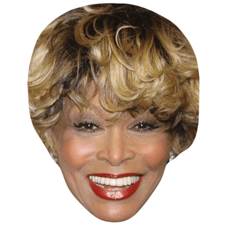 Featured image for “Tina Turner (Blonde) Celebrity Big Head”