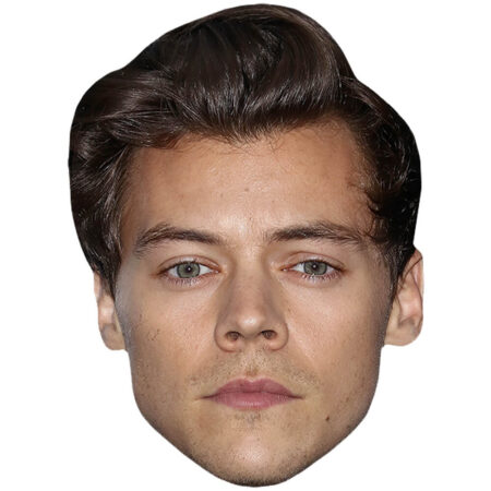 Featured image for “Harry Styles (Short Hair) Celebrity Big Head”