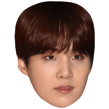 Featured image for “Suga (Brown Hair) Celebrity Mask”