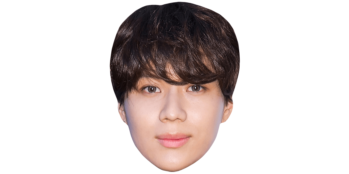 Taemin Card Face and Fancy Dress Mask SHINee Celebrity Mask 