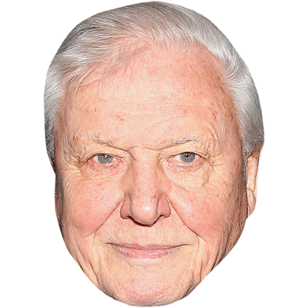 Featured image for “David Attenborough (Old) Big Head”