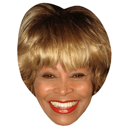 Featured image for “Tina Turner (1995) Celebrity Mask”