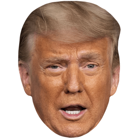 Featured image for “Donald Trump (Eyebrow) Celebrity Mask”
