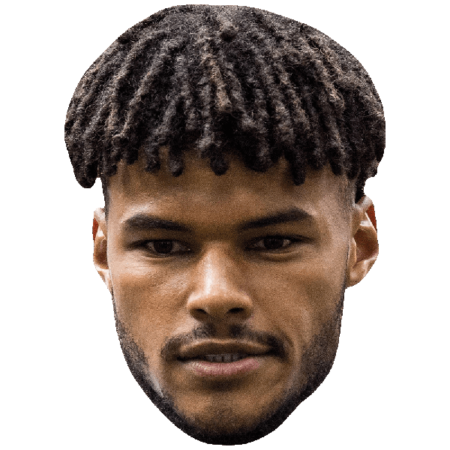 Featured image for “Tyrone Mings (Beard) Celebrity Mask”