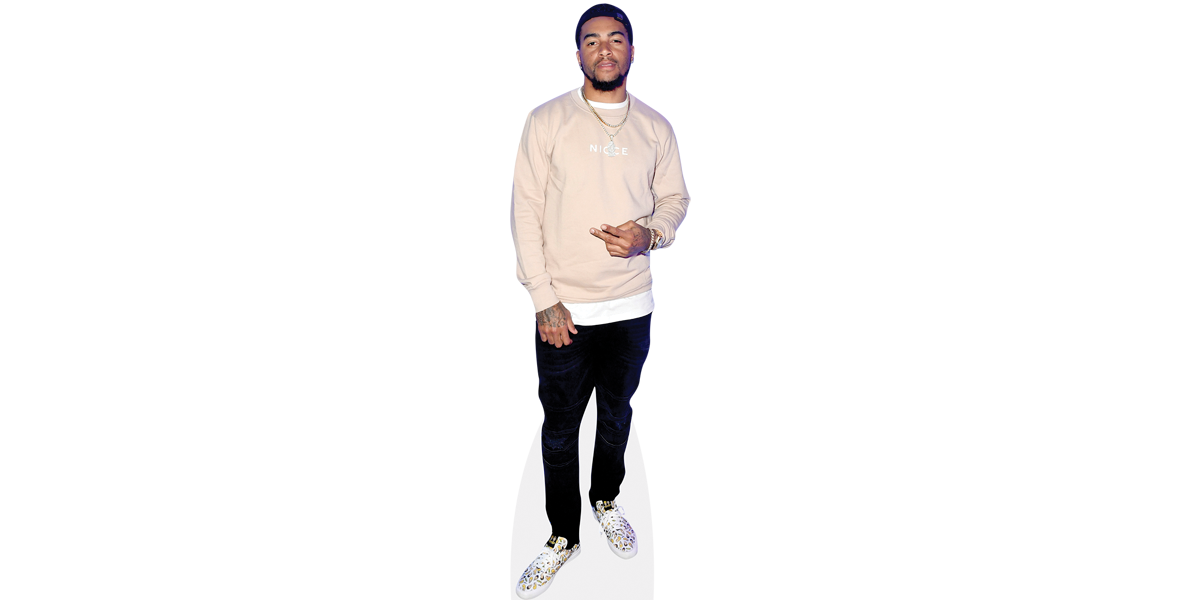 Desean Jackson (Casual) Cardboard Cutout Celebrity Cutouts