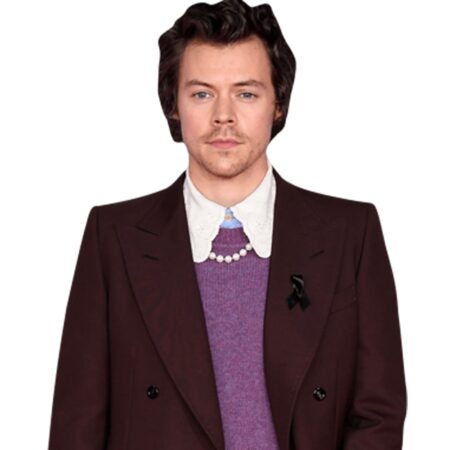 Featured image for “Harry Styles (Burgundy Suit) Half Body Buddy Cutout”