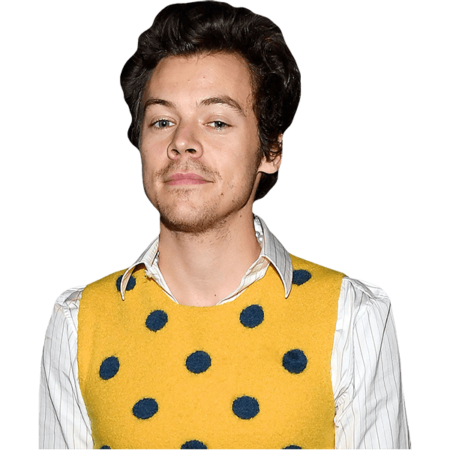 Featured image for “Harry Styles (Yellow Top) Half Body Buddy Cutout”