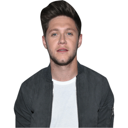 Featured image for “Niall Horan (Casual) Half Body Buddy Cutout”