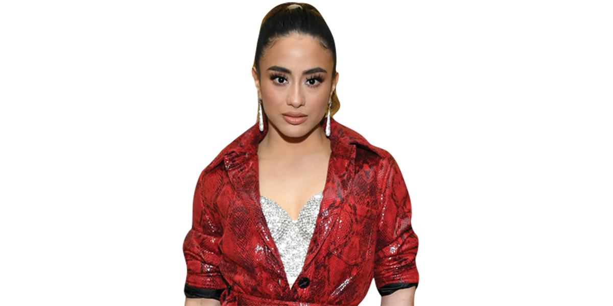 Featured image for “Ally Brooke (Red) Buddy”