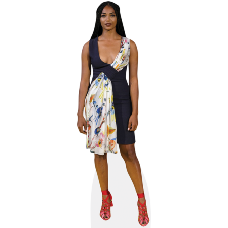 Featured image for “Birtukan Tibebe (Dress) Cardboard Cutout”