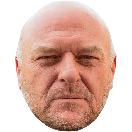 Featured image for “Dean Norris (Beard) Celebrity Mask”