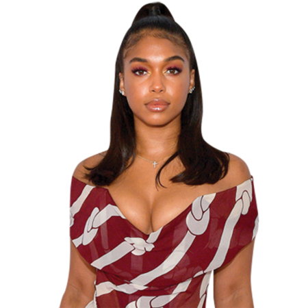 Featured image for “Lori Harvey (Trousers) Half Body Buddy Cutout”