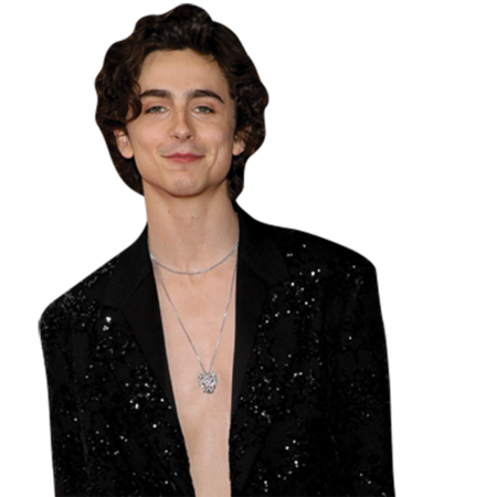 Featured image for “Timothée Chalamet (Topless) Half Body Buddy Cutout”