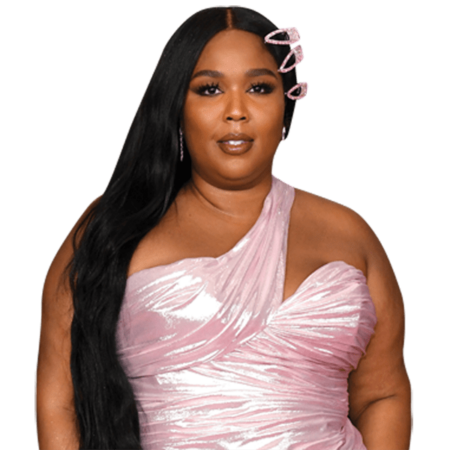 Featured image for “Lizzo (Pink Dress) Half Body Buddy Cutout”