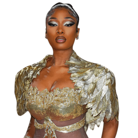 Featured image for “Megan Thee Stallion (Gold Dress) Half Body Buddy Cutout”