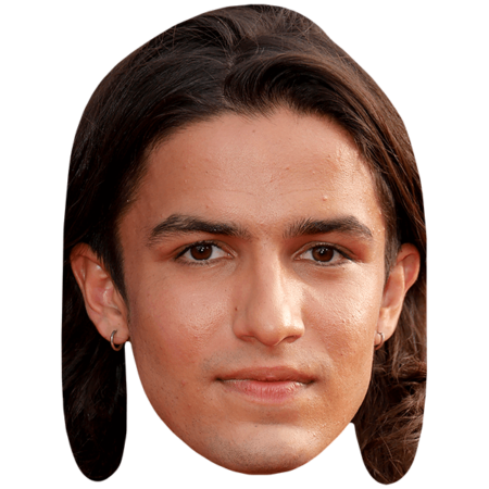 Featured image for “Aramis Knight (Long Hair) Big Head”
