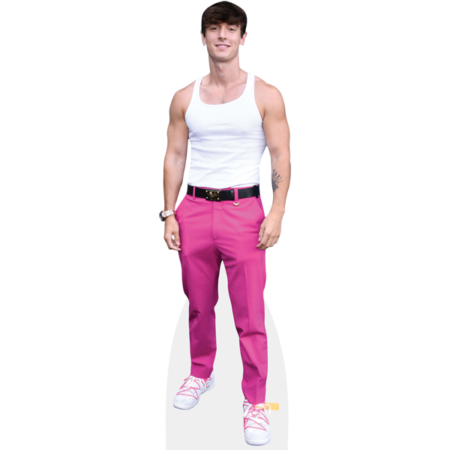 Featured image for “Bryce Hall (Pink Trousers) Cardboard Cutout”