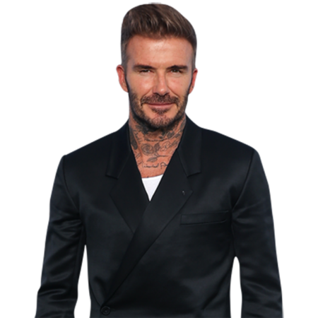 Featured image for “David Beckham (Tattoos) Half Body Buddy”