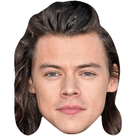 Featured image for “Harry Styles (Long Hair) Mask”
