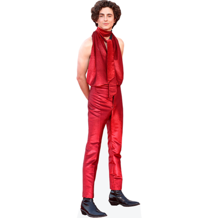 Featured image for “Timothée Chalamet (Sleeveless Outfit) Cardboard Cutout”