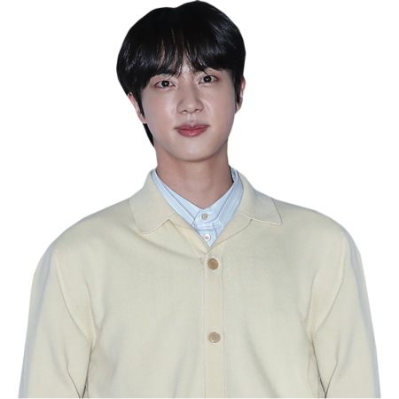 Featured image for “Jin (Cardigan) Half Body Buddy”