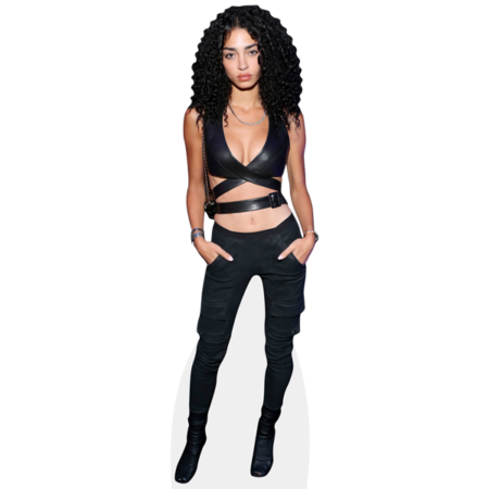 Featured image for “Raven Lyn (Black Outfit) Cardboard Cutout”