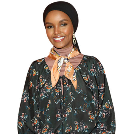 Featured image for “Halima Aden (Floral) Half Body Buddy”
