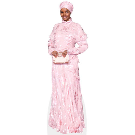 Featured image for “Halima Aden (Pink Dress) Cardboard Cutout”