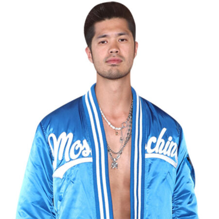 Featured image for “Ross Butler (Blue Outfit) Half Body Buddy”