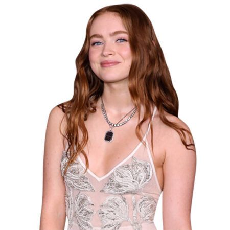 Featured image for “Sadie Sink (Long Dress) Half Body Buddy”
