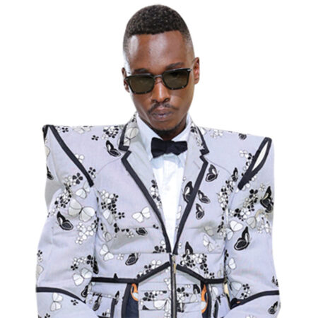 Featured image for “Ashton Sanders (Butterflies) Half Body Buddy”