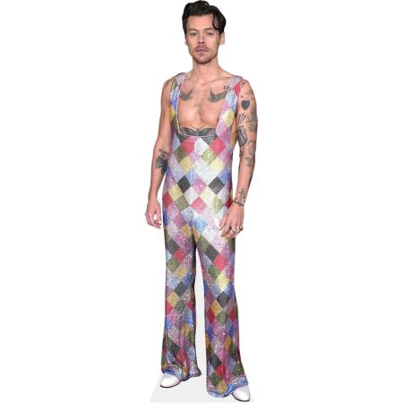 Featured image for “Harry Styles (Colourful) Cardboard Cutout”