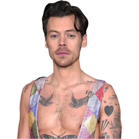 Featured image for “Harry Styles (Colourful) Half Body Buddy”