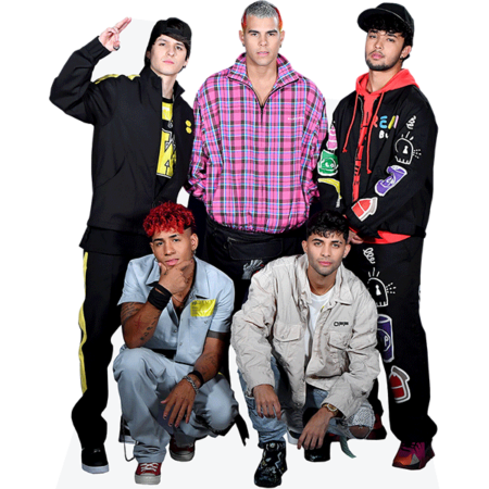 Featured image for “Latin American Boy Band (Group 2)”