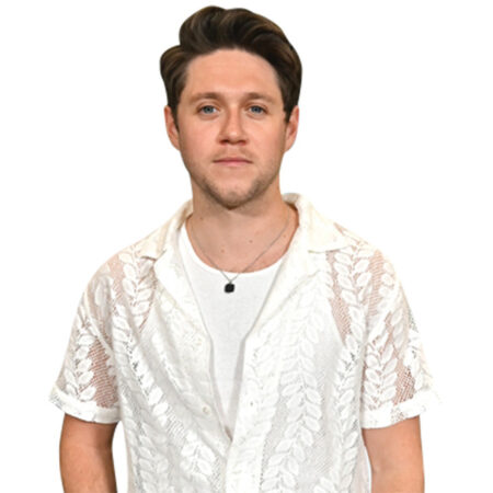 Featured image for “Niall Horan (White Shirt) Half Body Buddy”