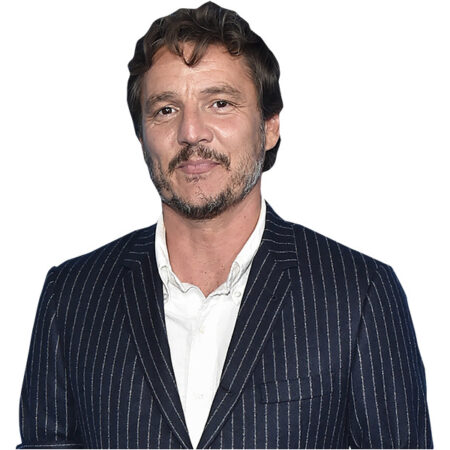 Featured image for “Pedro Pascal (Stripes) Half Body Buddy”