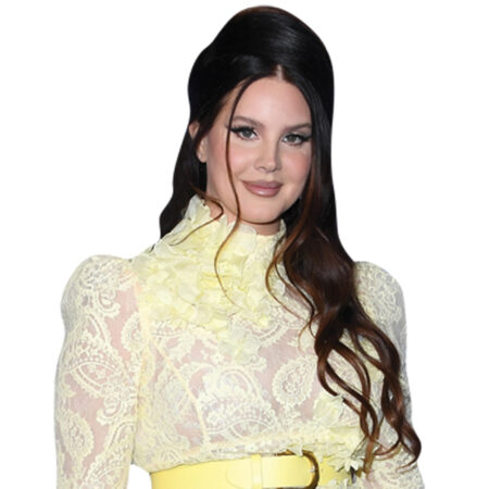 Featured image for “Lana Del Rey (Yellow Dress) Half Body Buddy”