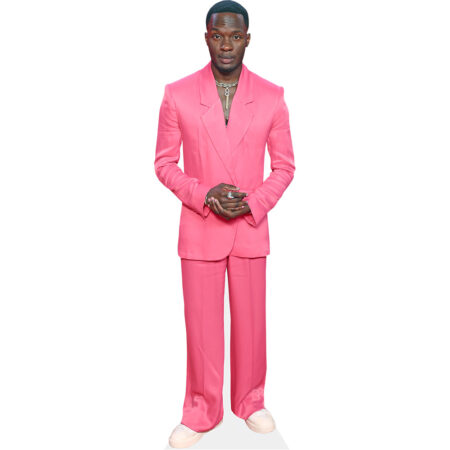 Featured image for “Ashley Byam (Pink Suit) Cardboard Cutout”