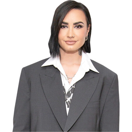 Featured image for “Demi Lovato (Grey Suit) Half Body Buddy”