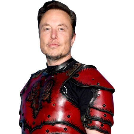 Featured image for “Elon Musk (Costume) Half Body Buddy”